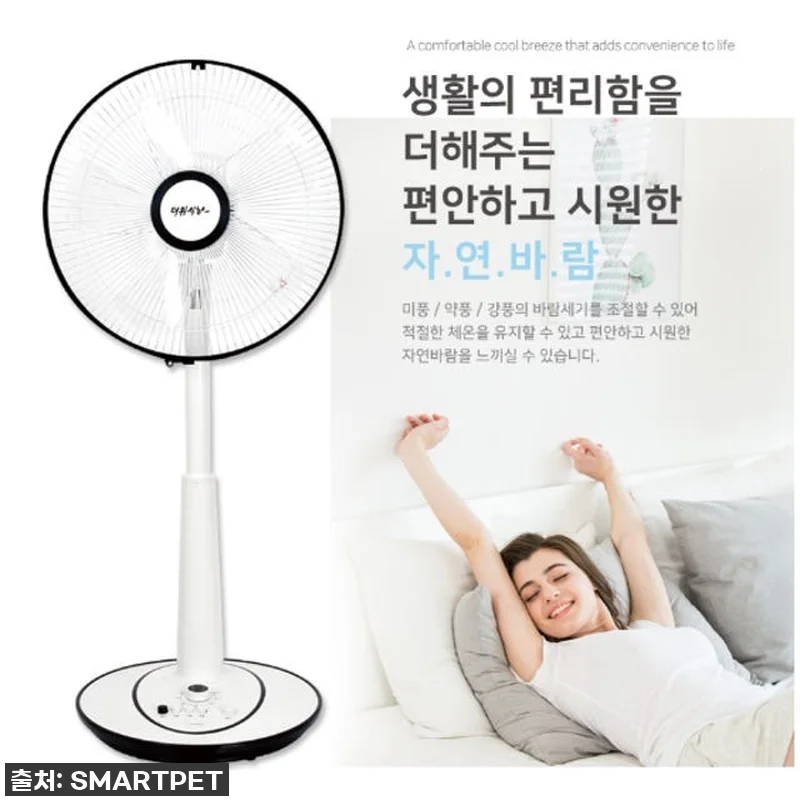 이 가격 실화?! 우리 집 ‘좌식 선 관련 이미지 2