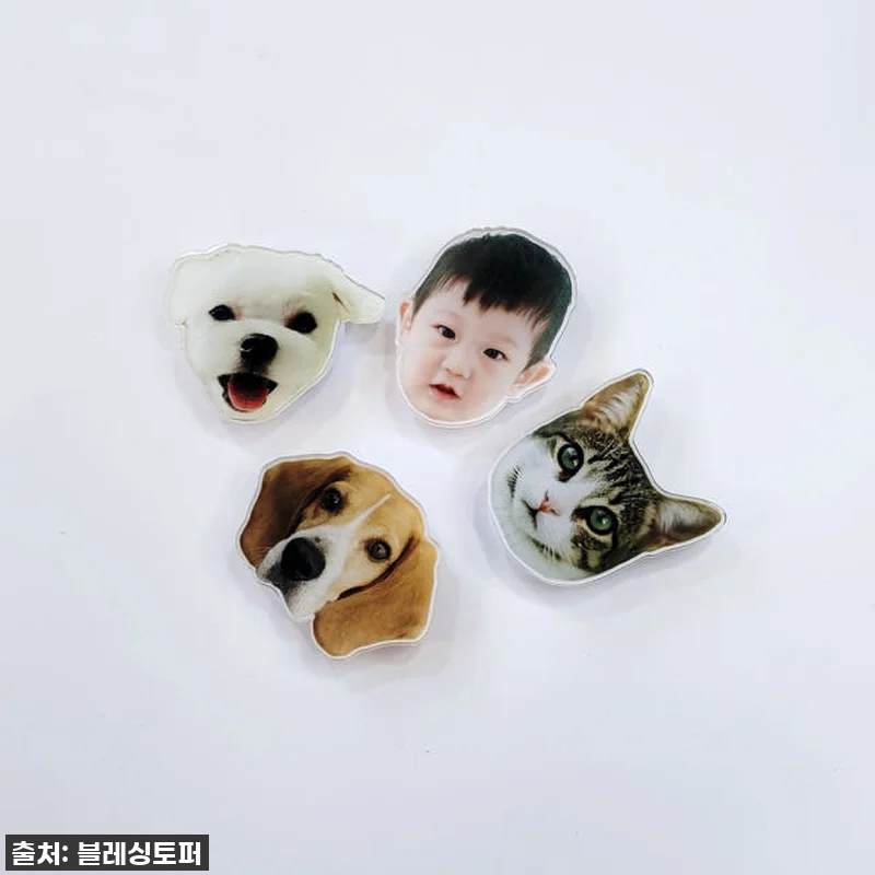 🚨품절임박🚨 댕댕이/냥이 집사들 주목 관련 이미지 4