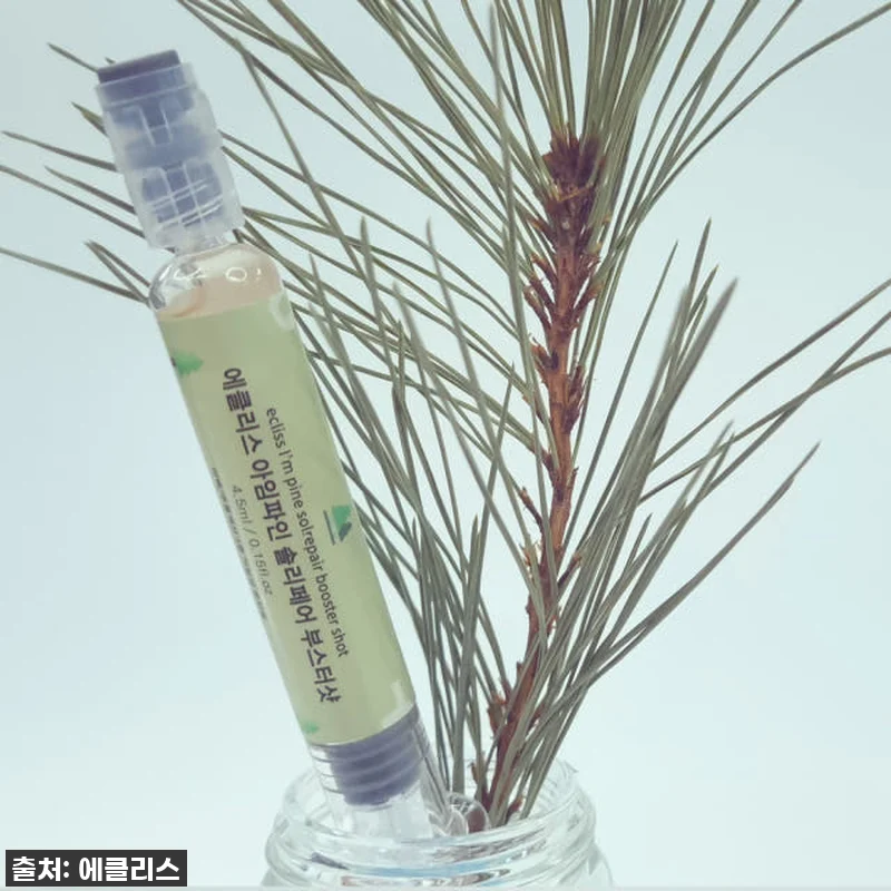 솔직후기! 아임파인 솔리페어 솔잎엑소 관련 이미지 4