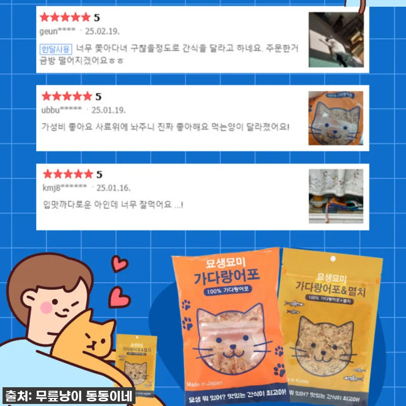 품절대란각! 냥님들이 미친 듯이 달려 관련 이미지 4