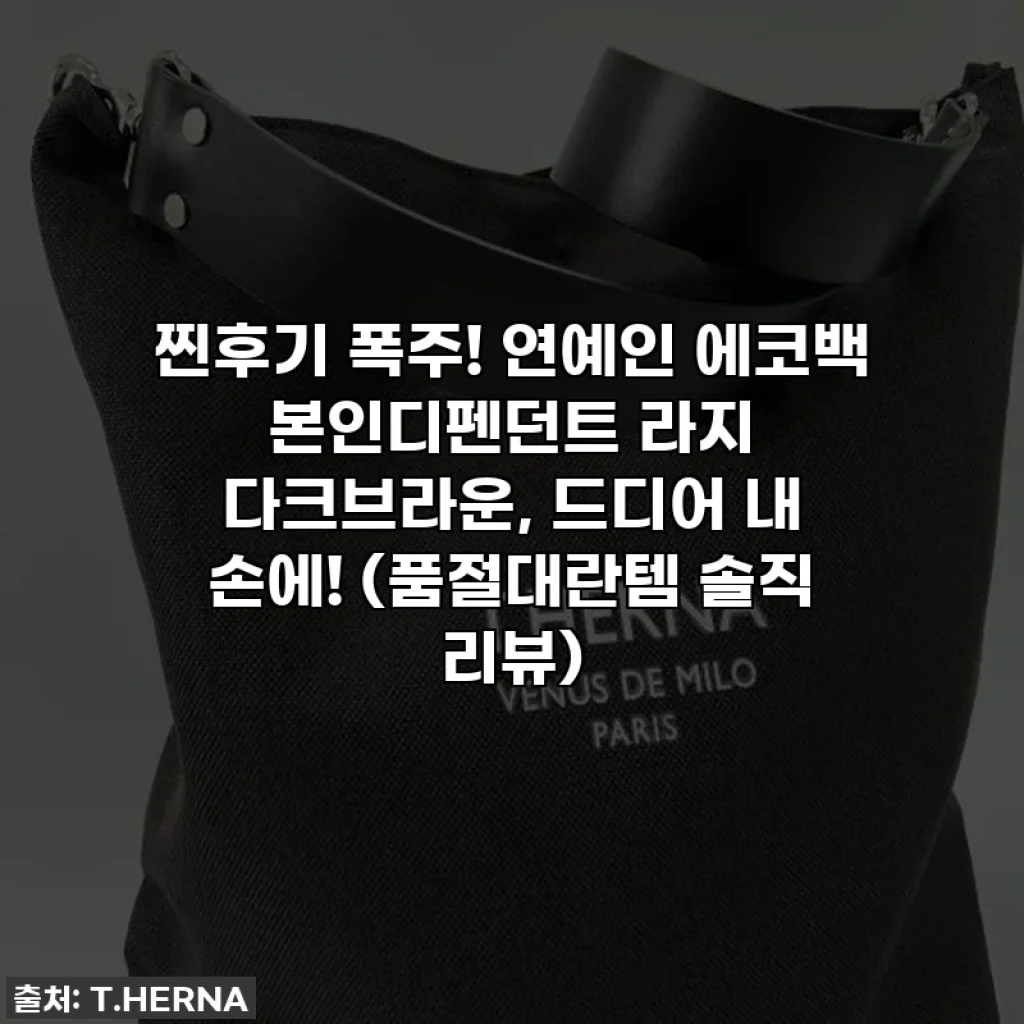 찐후기 폭주! 연예인 에코백 본인디펜던트 라지 다크브라운, 드디어 내 손에! (품절대란템 솔직 리뷰)