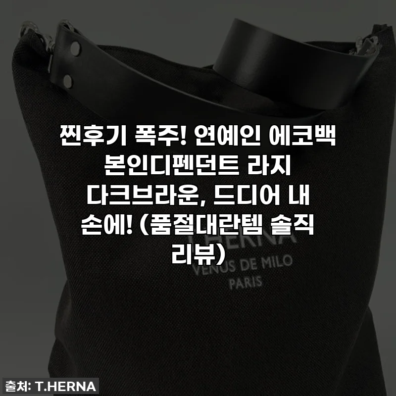 찐후기 폭주! 연예인 에코백 본인디펜던트 라지 다크브라운, 드디어 내 손에! (품절대란템 솔직 리뷰)