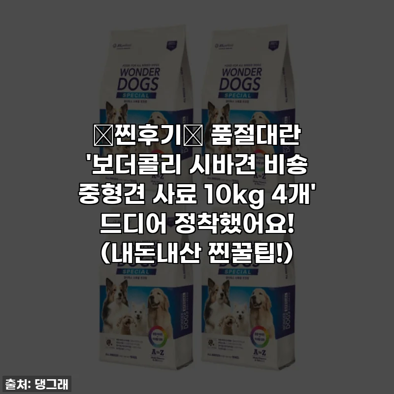 ⭐찐후기⭐ 품절대란 '보더콜리 시바견 비숑 중형견 사료 10kg 4개' 드디어 정착했어요! (내돈내산 찐꿀팁!)