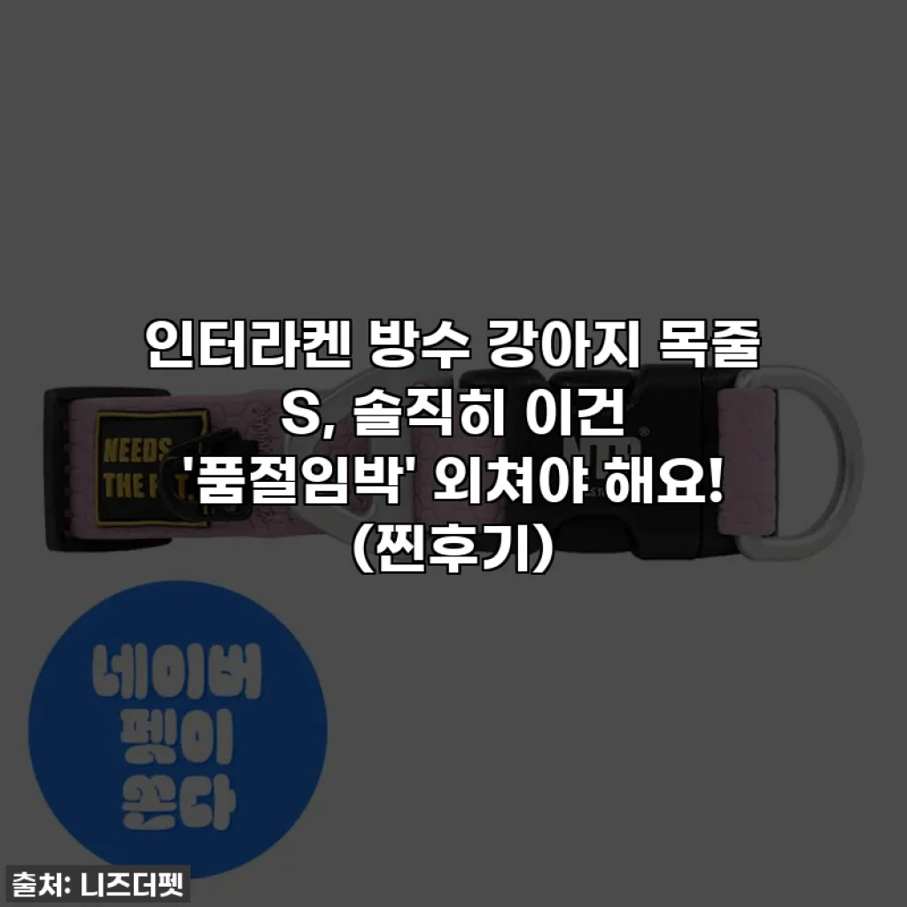 인터라켄 방수 강아지 목줄 S, 솔직히 이건 '품절임박' 외쳐야 해요! (찐후기)