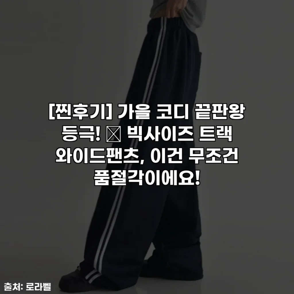 [찐후기] 가을 코디 끝판왕 등극! 🧡 빅사이즈 트랙 와이드팬츠, 이건 무조건 품절각이에요!