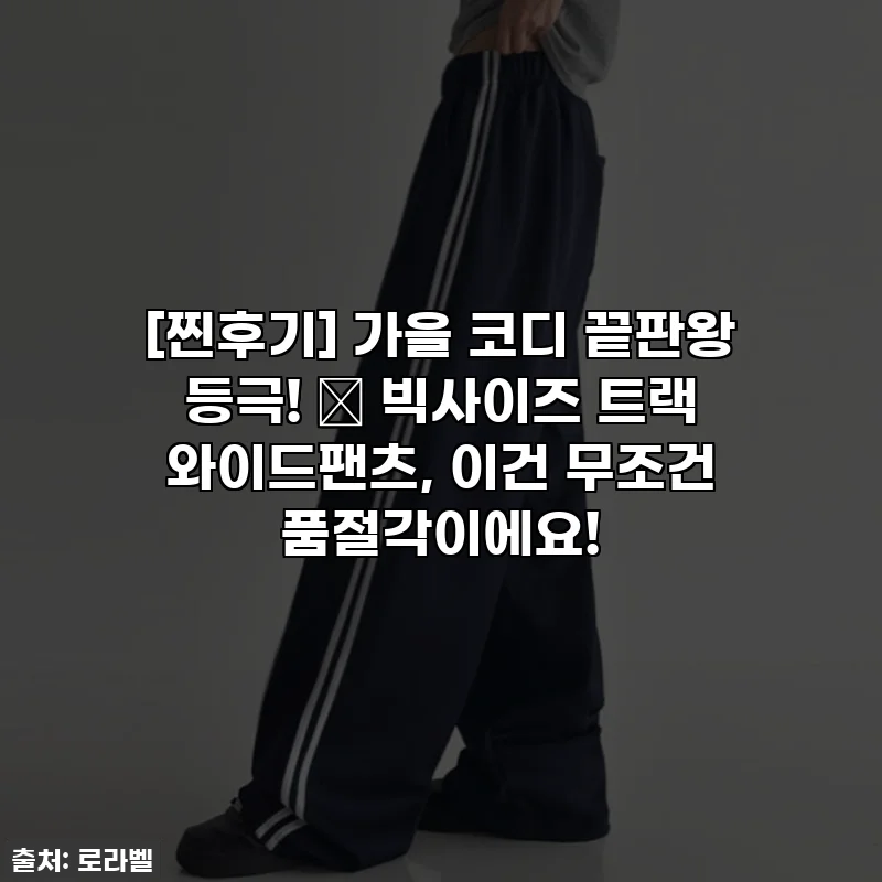 [찐후기] 가을 코디 끝판왕 등극! 🧡 빅사이즈 트랙 와이드팬츠, 이건 무조건 품절각이에요!