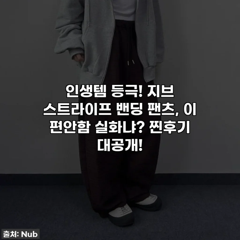 인생템 등극! 지브 스트라이프 밴딩 팬츠, 이 편안함 실화냐? 찐후기 대공개!