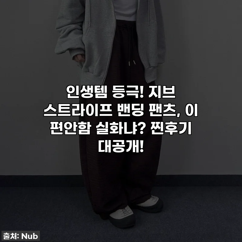 인생템 등극! 지브 스트라이프 밴딩 팬츠, 이 편안함 실화냐? 찐후기 대공개!