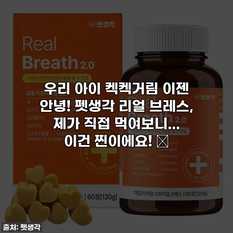 우리 아이 켁켁거림 이젠 안녕! 펫생각 리얼 브레스, 제가 직접 먹여보니... 이건 찐이에요! 🔥