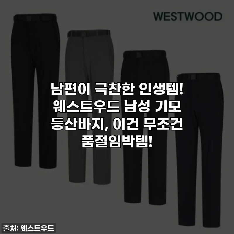 남편이 극찬한 인생템! 웨스트우드 남성 기모 등산바지, 이건 무조건 품절임박템!