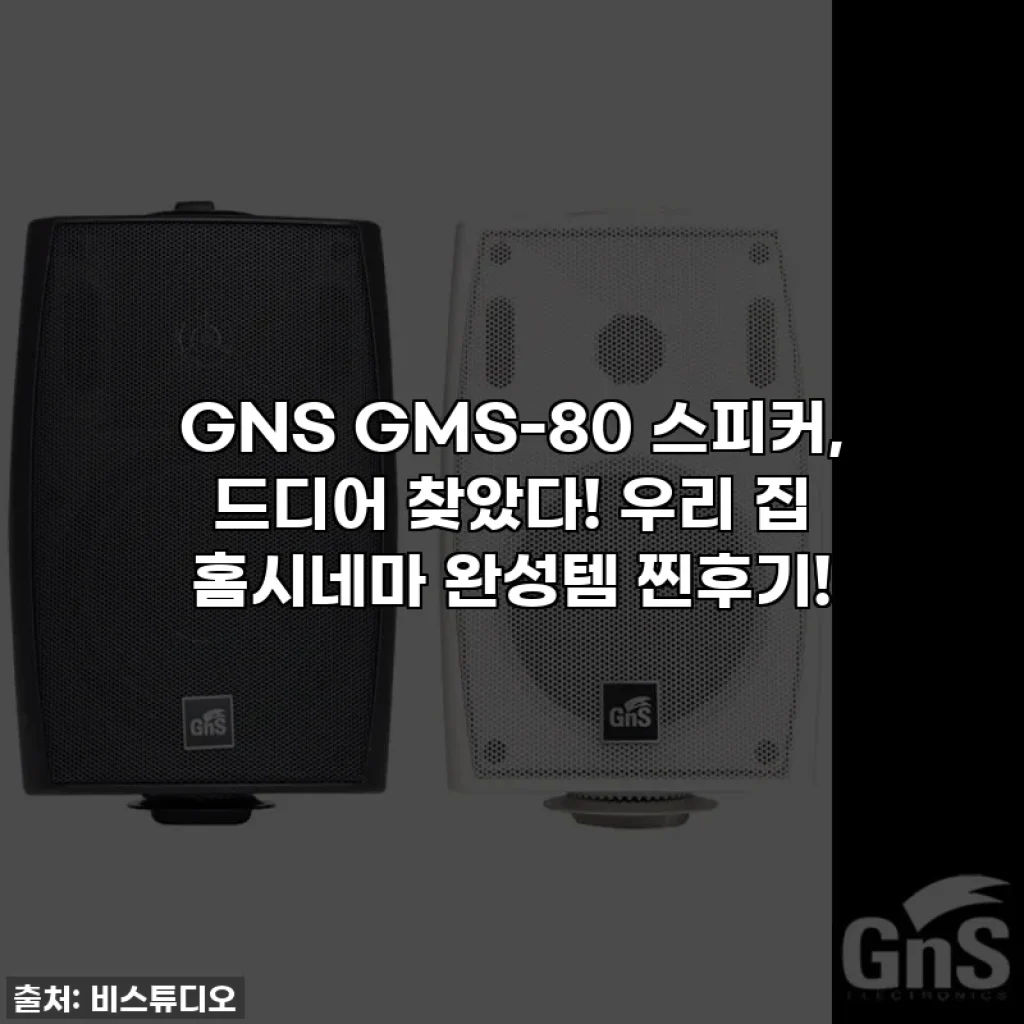 GNS GMS-80 스피커, 드디어 찾았다! 우리 집 홈시네마 완성템 찐후기!