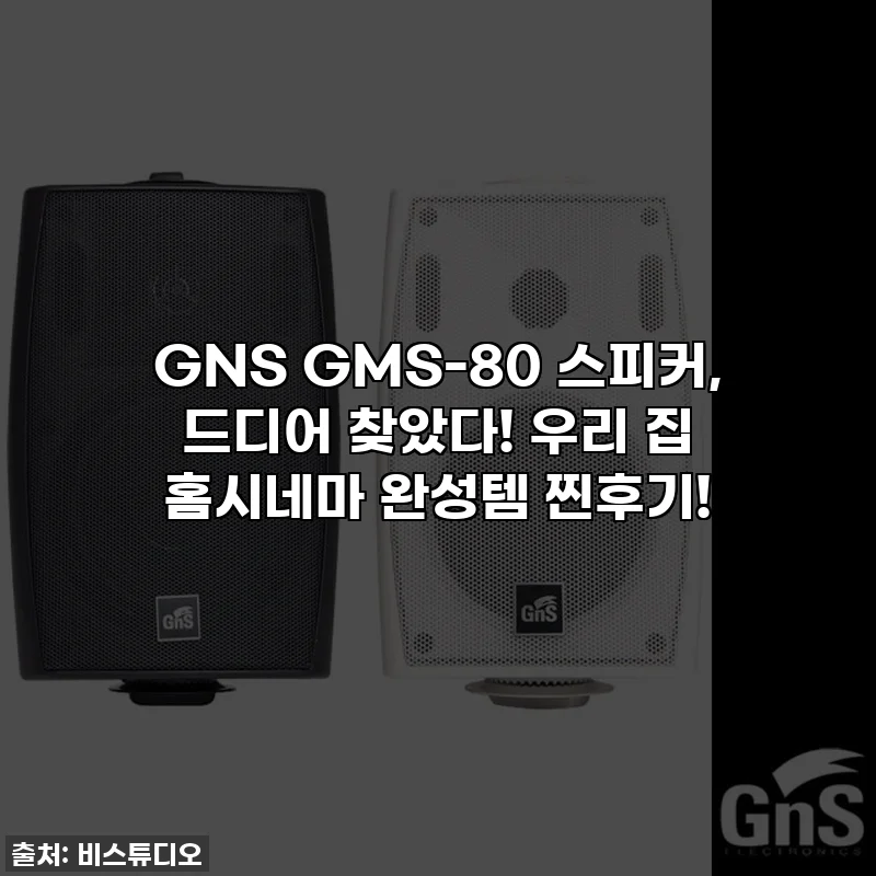 GNS GMS-80 스피커, 드디어 찾았다! 우리 집 홈시네마 완성템 찐후기!