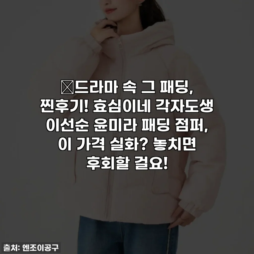 📺드라마 속 그 패딩, 찐후기! 효심이네 각자도생 이선순 윤미라 패딩 점퍼, 이 가격 실화? 놓치면 후회할 걸요!