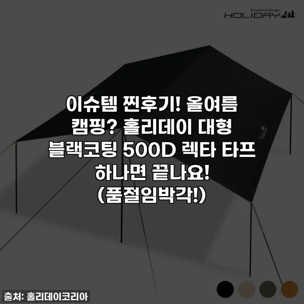 이슈템 찐후기! 올여름 캠핑? 홀리데이 대형 블랙코팅 500D 렉타 타프 하나면 끝나요! (품절임박각!)