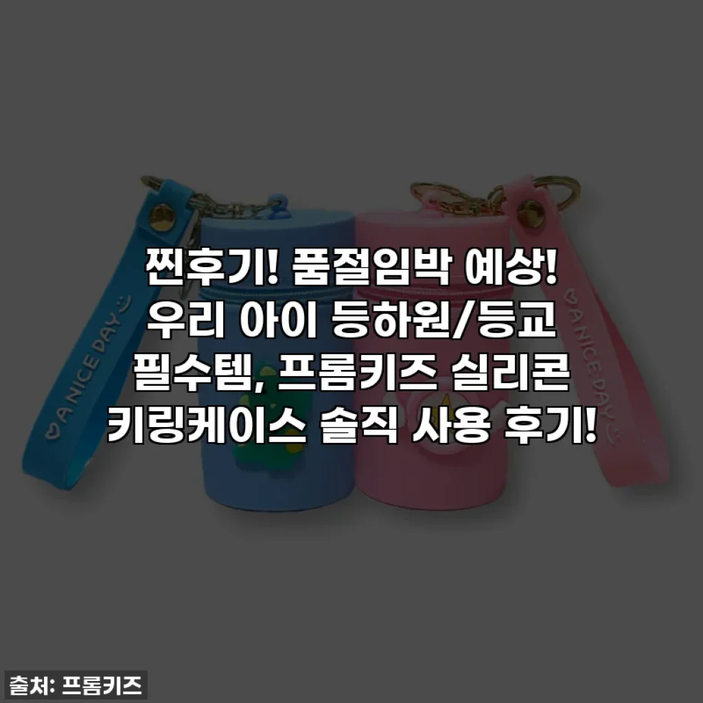 찐후기! 품절임박 예상! 우리 아이 등하원/등교 필수템, 프롬키즈 실리콘 키링케이스 솔직 사용 후기!
