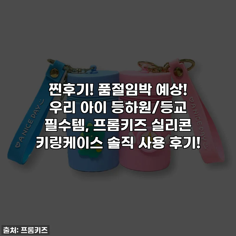 찐후기! 품절임박 예상! 우리 아이 등하원/등교 필수템, 프롬키즈 실리콘 키링케이스 솔직 사용 후기!