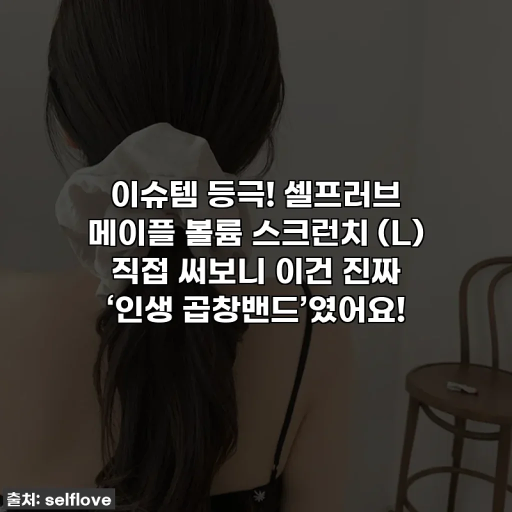 이슈템 등극! 셀프러브 메이플 볼륨 스크런치 (L) 직접 써보니 이건 진짜 ‘인생 곱창밴드’였어요!