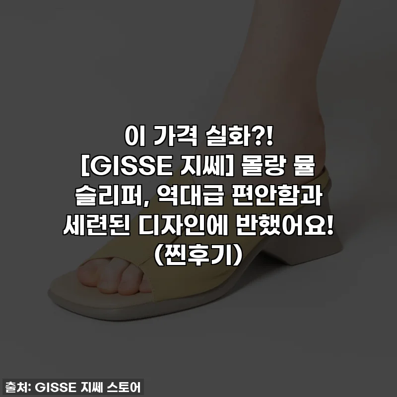 이 가격 실화?! [GISSE 지쎄] 몰랑 뮬 슬리퍼, 역대급 편안함과 세련된 디자인에 반했어요! (찐후기)