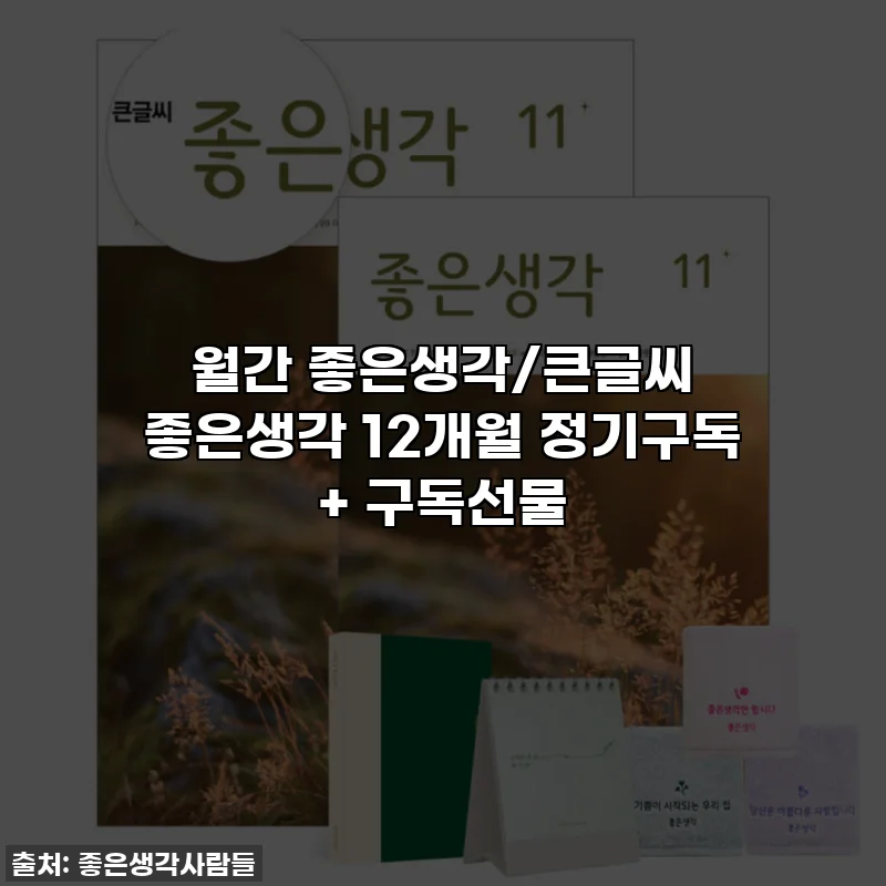 월간 좋은생각/큰글씨 좋은생각 12개월 정기구독 + 구독선물