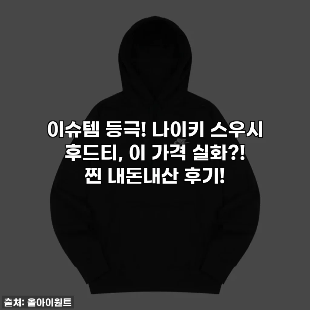 이슈템 등극! 나이키 스우시 후드티, 이 가격 실화?! 찐 내돈내산 후기!