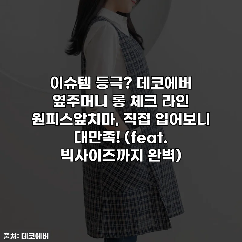 이슈템 등극? 데코에버 옆주머니 롱 체크 라인 원피스앞치마, 직접 입어보니 대만족! (feat. 빅사이즈까지 완벽)