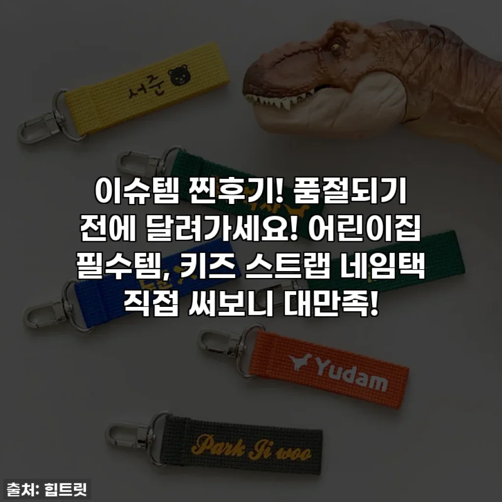 이슈템 찐후기! 품절되기 전에 달려가세요! 어린이집 필수템, 키즈 스트랩 네임택 직접 써보니 대만족!