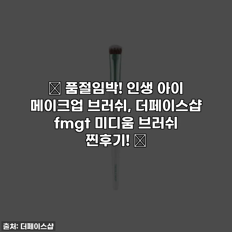 ✨ 품절임박! 인생 아이 메이크업 브러쉬, 더페이스샵 fmgt 미디움 브러쉬 찐후기! ✨