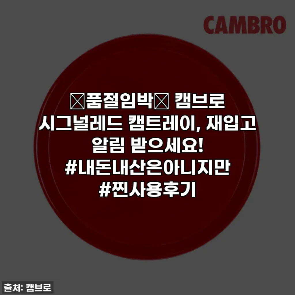 🚨품절임박🚨 캠브로 시그널레드 캠트레이, 재입고 알림 받으세요! #내돈내산은아니지만 #찐사용후기