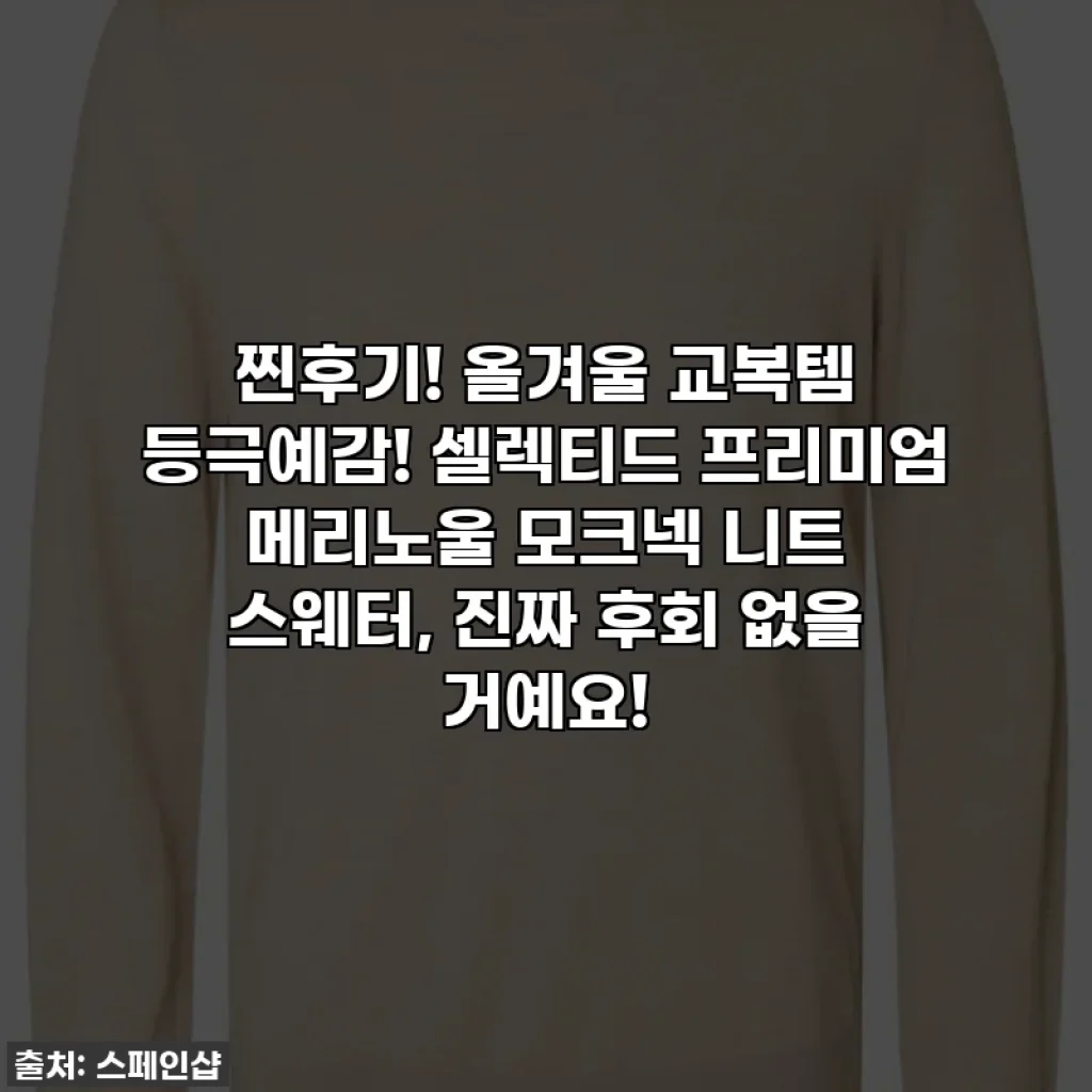 찐후기! 올겨울 교복템 등극예감! 셀렉티드 프리미엄 메리노울 모크넥 니트 스웨터, 진짜 후회 없을 거예요!