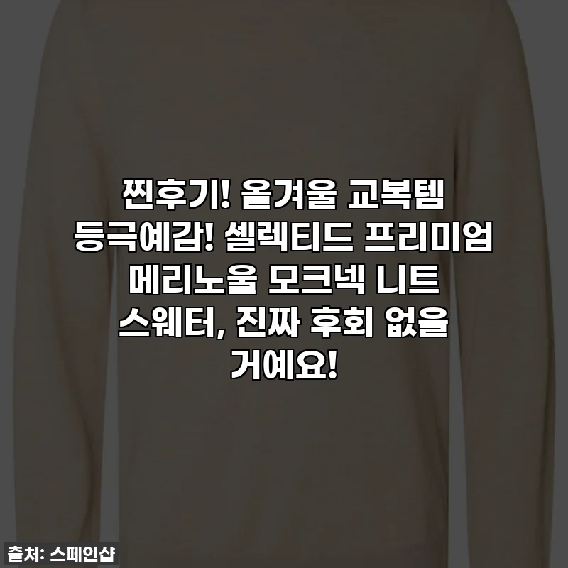 찐후기! 올겨울 교복템 등극예감! 셀렉티드 프리미엄 메리노울 모크넥 니트 스웨터, 진짜 후회 없을 거예요!