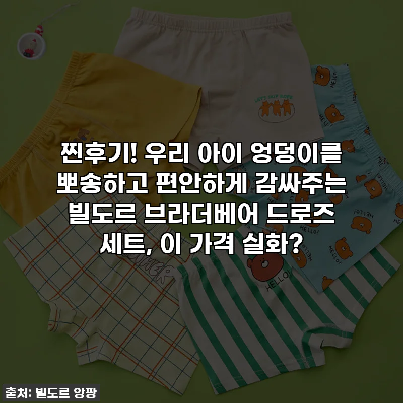 찐후기! 우리 아이 엉덩이를 뽀송하고 편안하게 감싸주는 빌도르 브라더베어 드로즈 세트, 이 가격 실화?