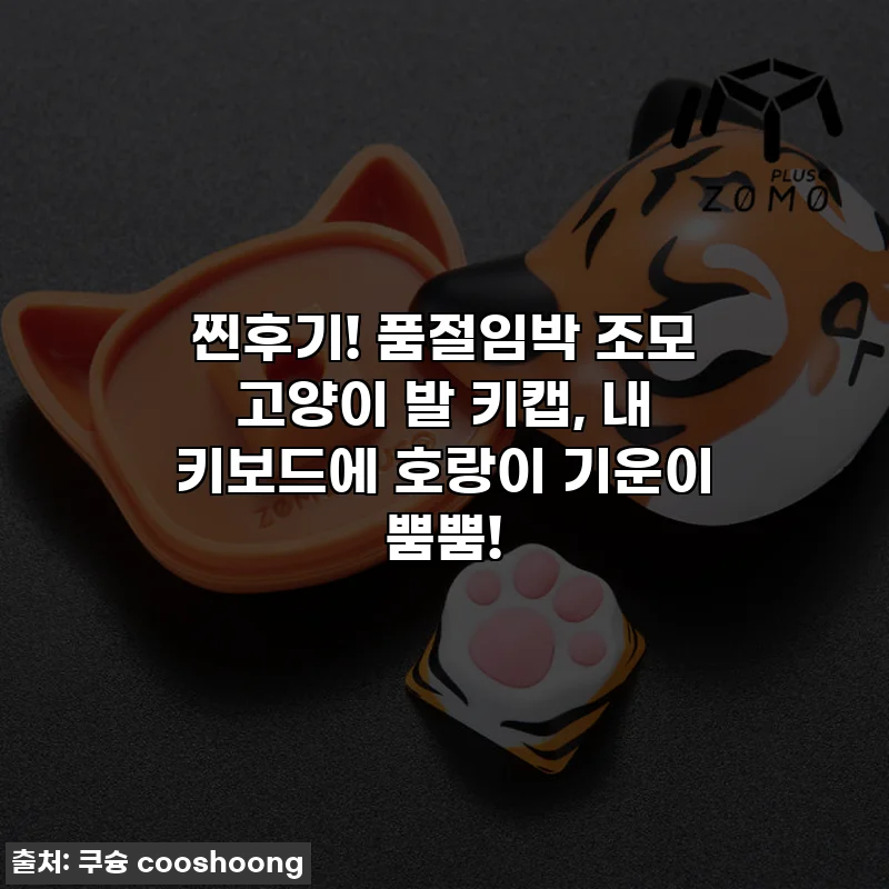 찐후기! 품절임박 조모 고양이 발 키캡, 내 키보드에 호랑이 기운이 뿜뿜!