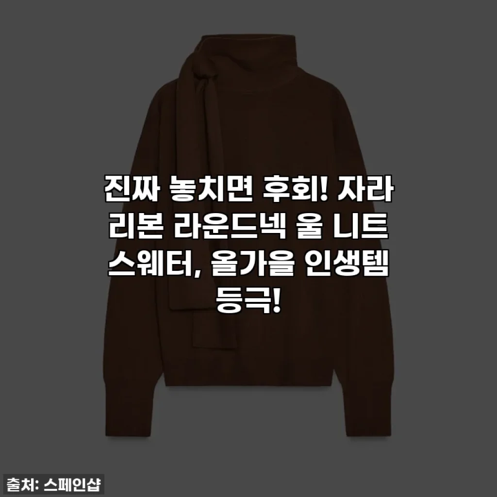진짜 놓치면 후회! 자라 리본 라운드넥 울 니트 스웨터, 올가을 인생템 등극!