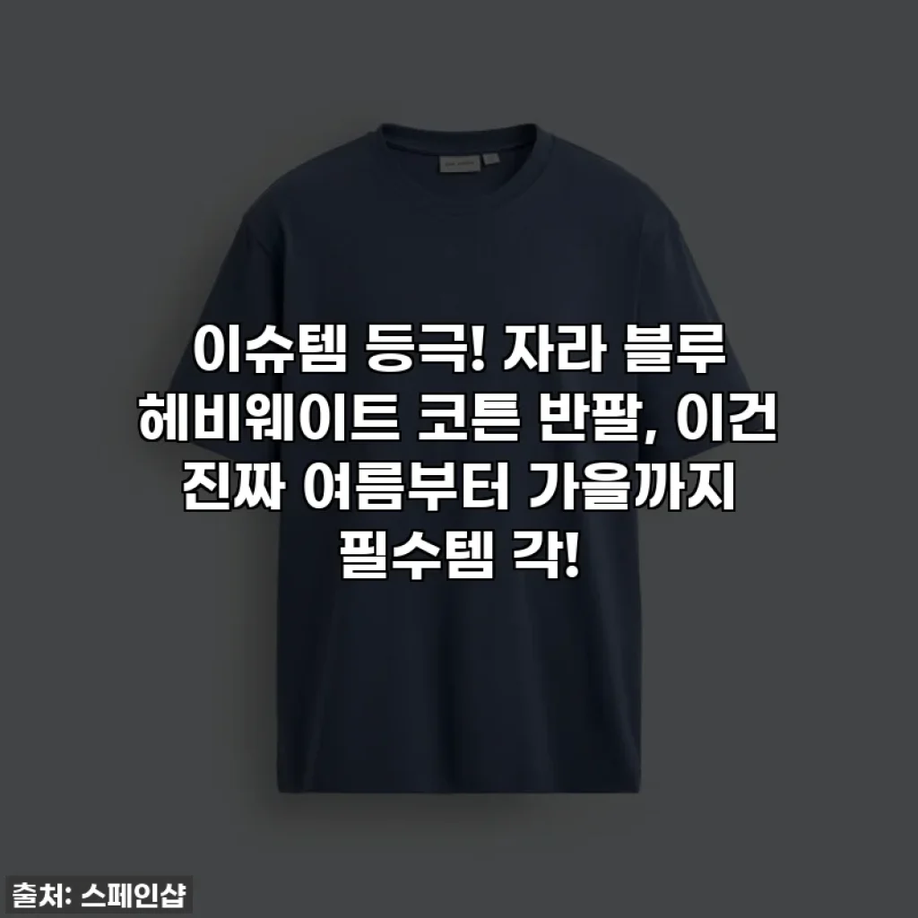 이슈템 등극! 자라 블루 헤비웨이트 코튼 반팔, 이건 진짜 여름부터 가을까지 필수템 각!