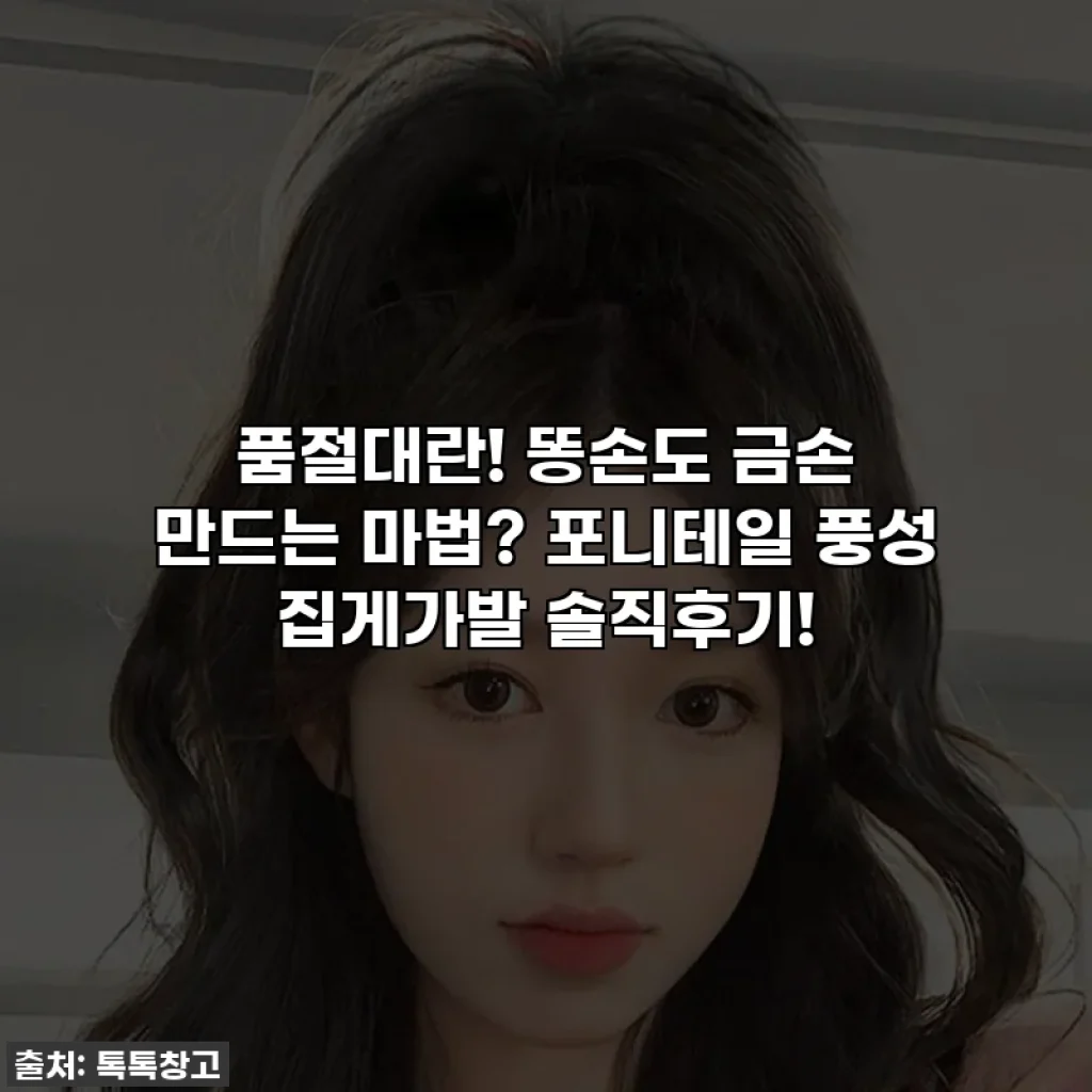 품절대란! 똥손도 금손 만드는 마법? 포니테일 풍성 집게가발 솔직후기!