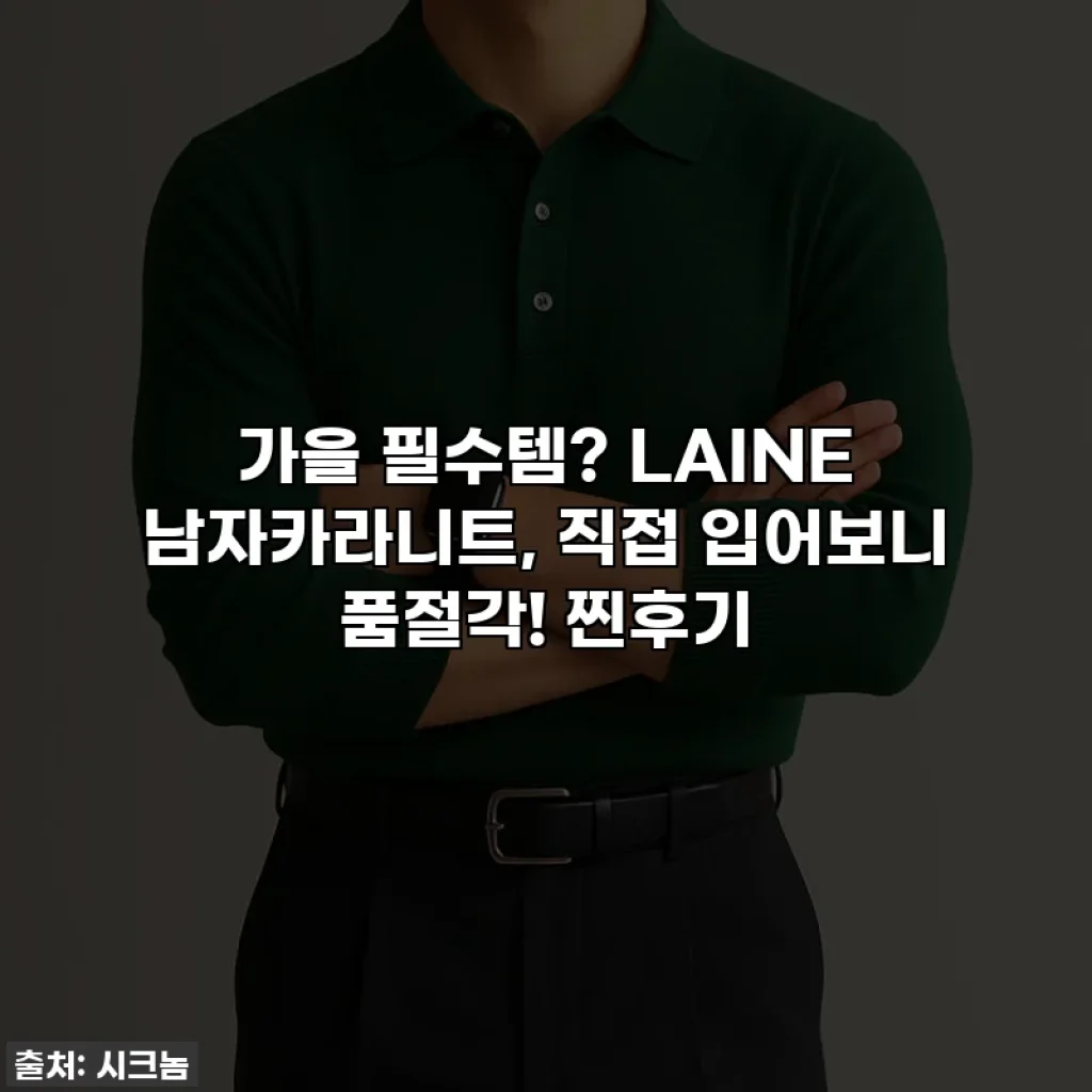 가을 필수템? LAINE 남자카라니트, 직접 입어보니 품절각! 찐후기