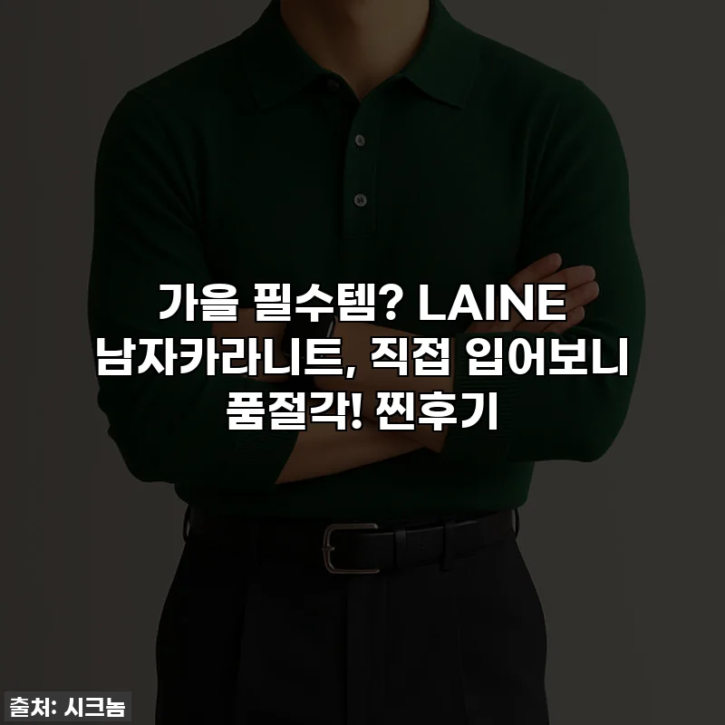 가을 필수템? LAINE 남자카라니트, 직접 입어보니 품절각! 찐후기