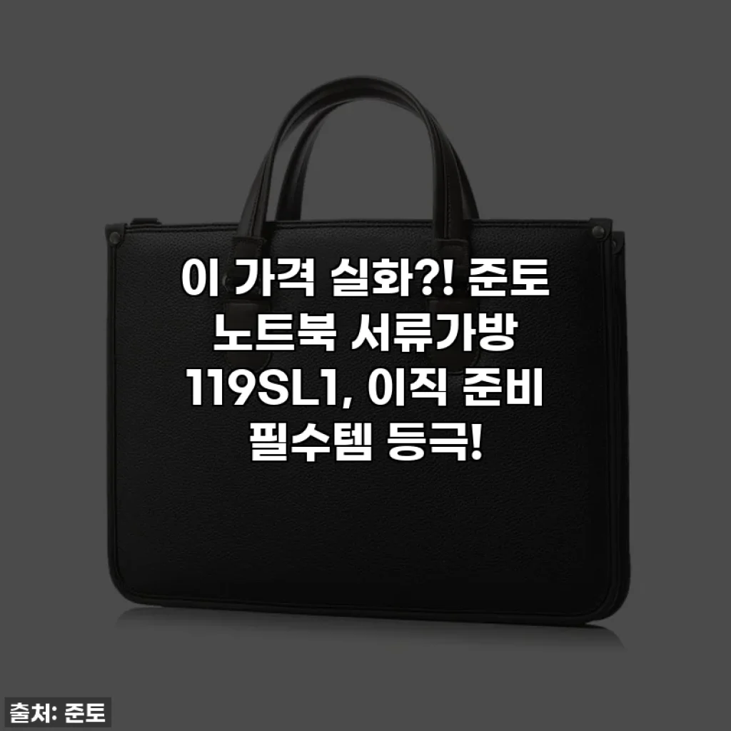이 가격 실화?! 준토 노트북 서류가방 119SL1, 이직 준비 필수템 등극!