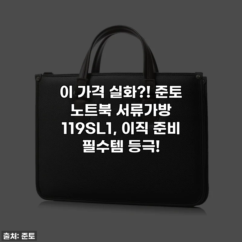 이 가격 실화?! 준토 노트북 서류가방 119SL1, 이직 준비 필수템 등극!