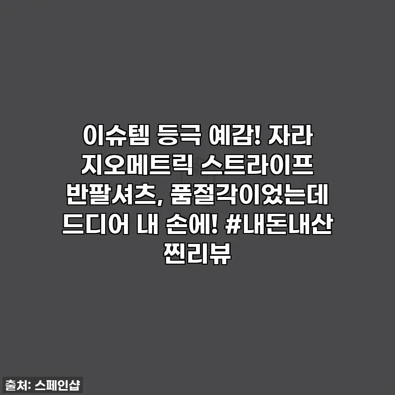 이슈템 등극 예감! 자라 지오메트릭 스트라이프 반팔셔츠, 품절각이었는데 드디어 내 손에! #내돈내산 찐리뷰