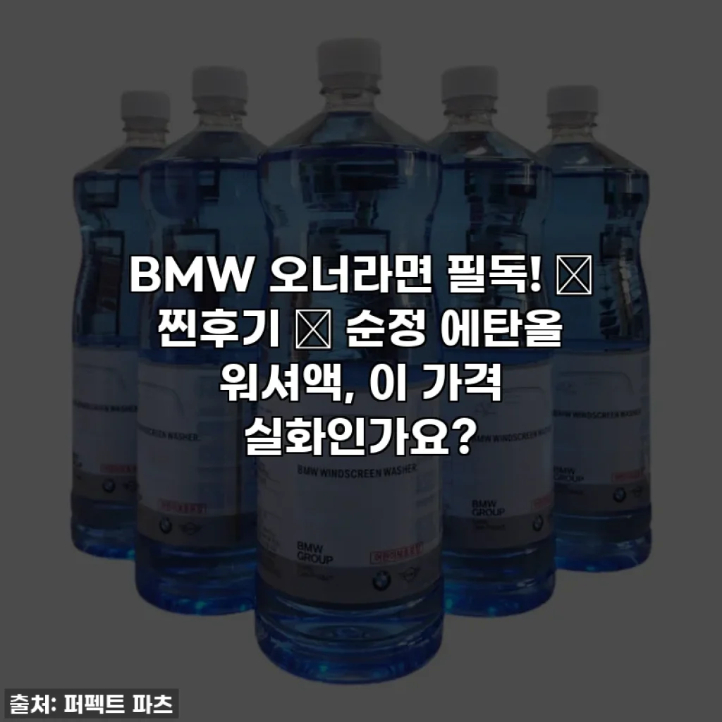 BMW 오너라면 필독! ✨ 찐후기 ✨ 순정 에탄올 워셔액, 이 가격 실화인가요?