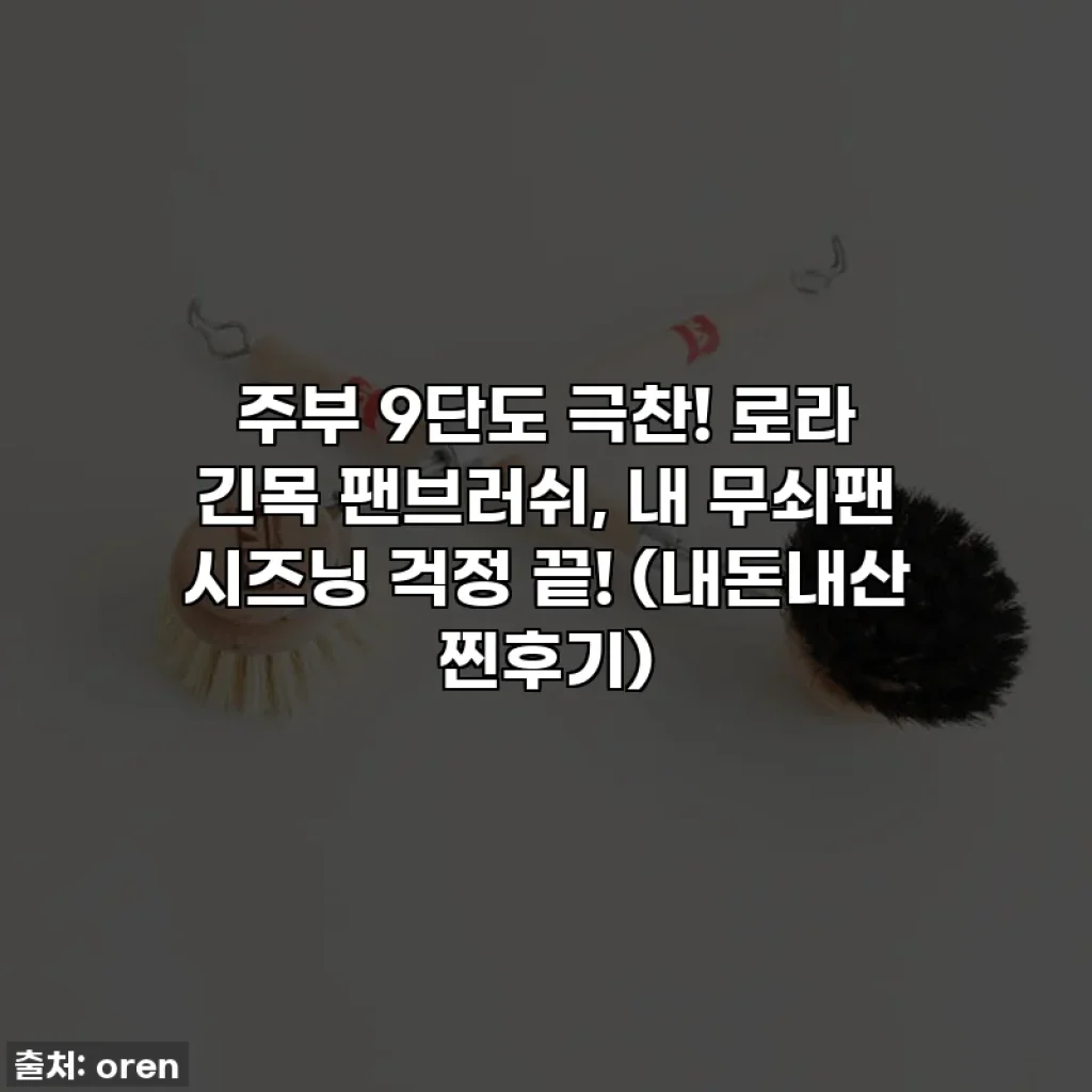 주부 9단도 극찬! 로라 긴목 팬브러쉬, 내 무쇠팬 시즈닝 걱정 끝! (내돈내산 찐후기)