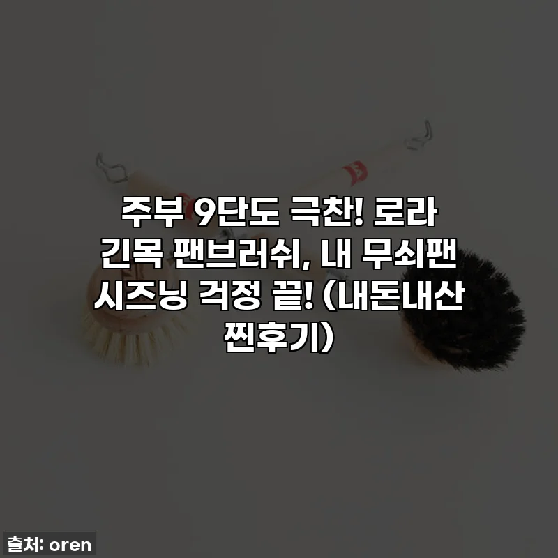 주부 9단도 극찬! 로라 긴목 팬브러쉬, 내 무쇠팬 시즈닝 걱정 끝! (내돈내산 찐후기)