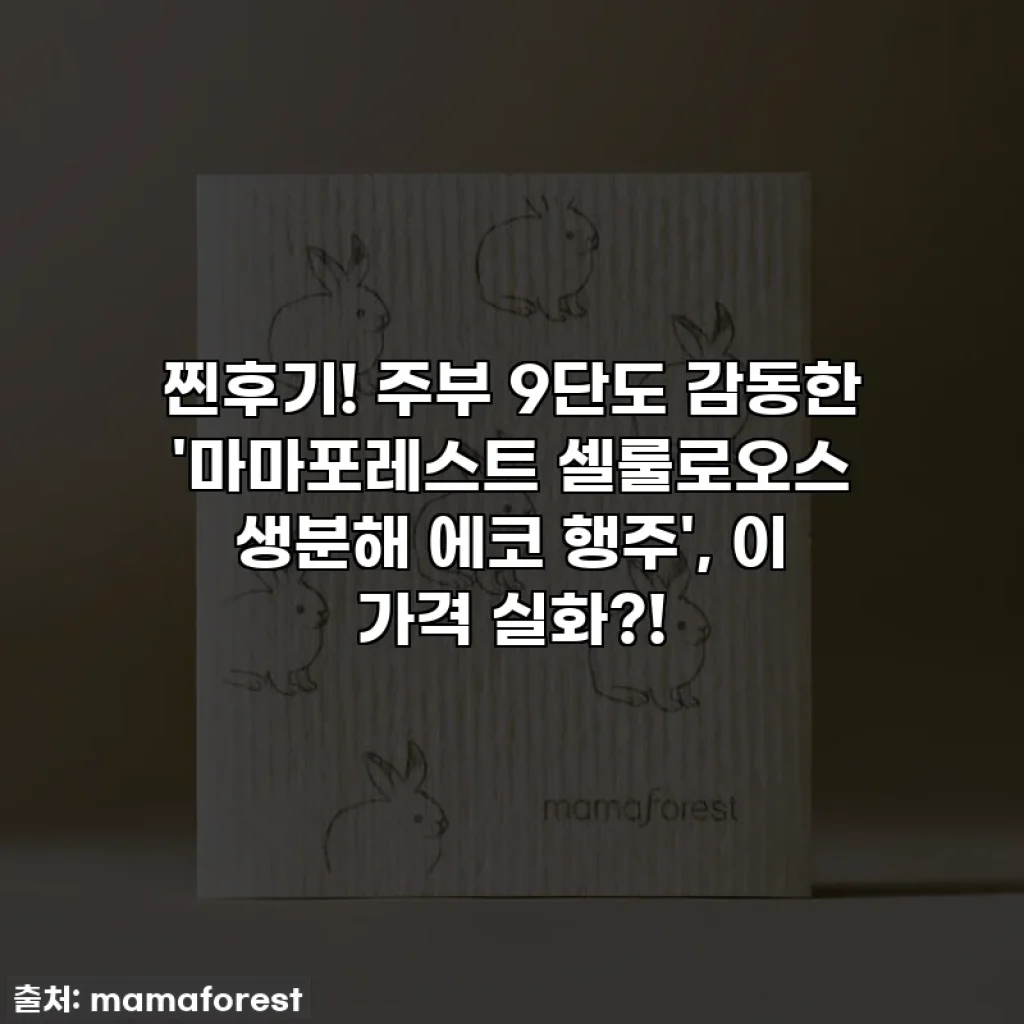 찐후기! 주부 9단도 감동한 '마마포레스트 셀룰로오스 생분해 에코 행주', 이 가격 실화?!
