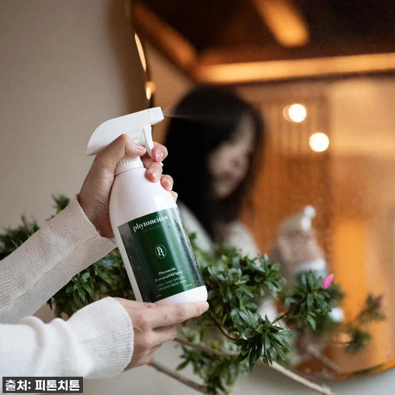 이슈템! 꿉꿉한 집안 냄새, 새집증후 관련 이미지 1
