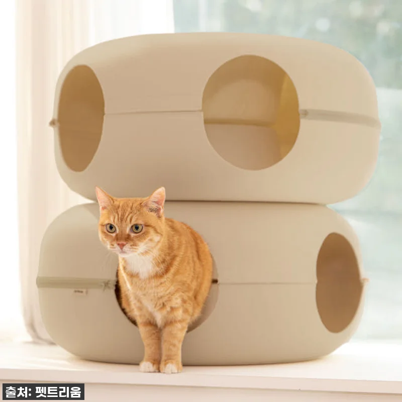 역대급 할인! 펫트리움 도넛 고양이 관련 이미지 2
