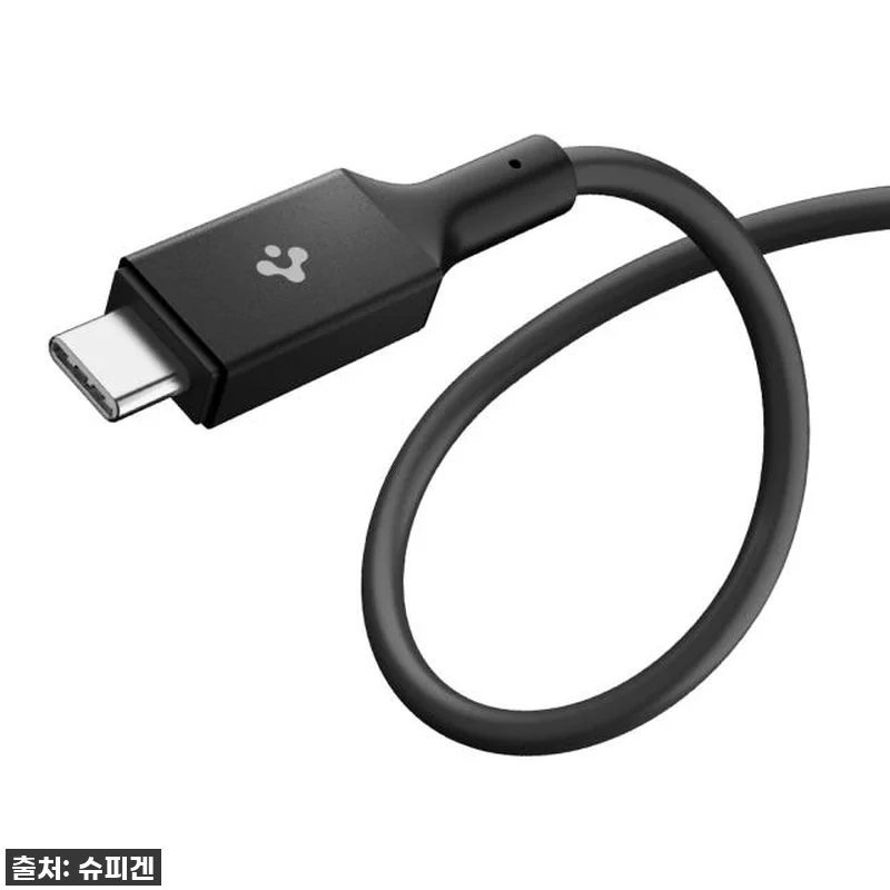 진심 감동! 슈피겐 100W PD C 관련 이미지 3