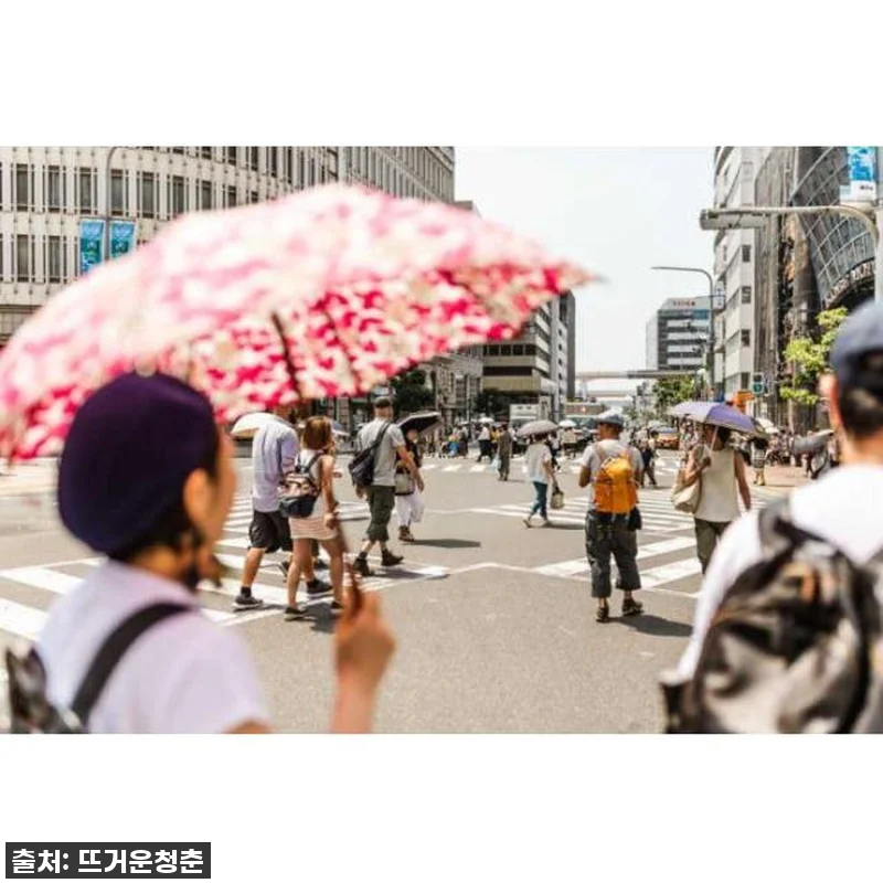 이 가격 실화?! 일본 고베 프라이빗 관련 이미지 3