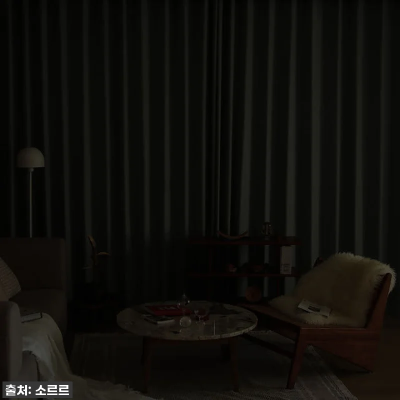 찬 바람 싹! 햇살 완벽 차단! 소르 관련 이미지 5