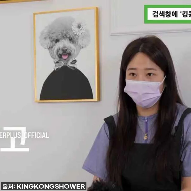 향기 폭발! 우리집 댕댕이 인생템 등 관련 이미지 6